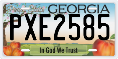 GA license plate PXE2585