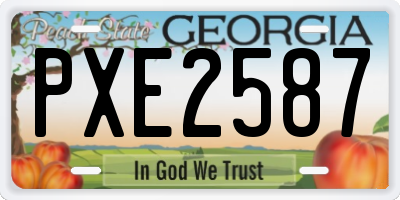 GA license plate PXE2587