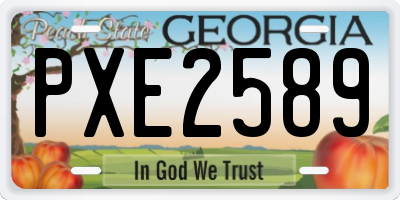 GA license plate PXE2589