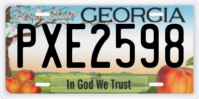 GA license plate PXE2598