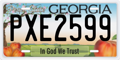 GA license plate PXE2599