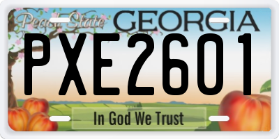GA license plate PXE2601