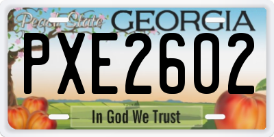 GA license plate PXE2602