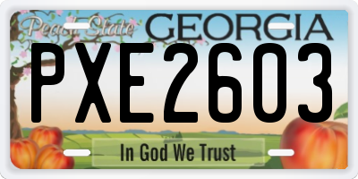 GA license plate PXE2603