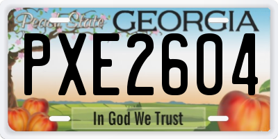 GA license plate PXE2604