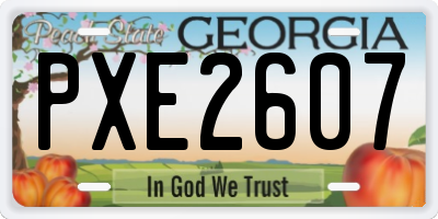 GA license plate PXE2607
