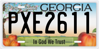 GA license plate PXE2611