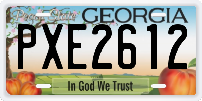 GA license plate PXE2612