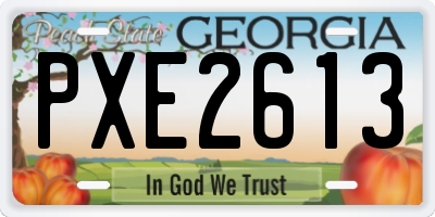 GA license plate PXE2613