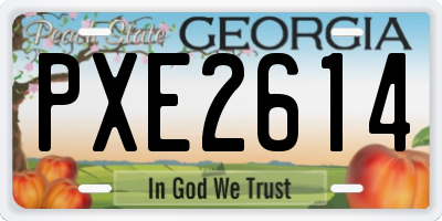 GA license plate PXE2614