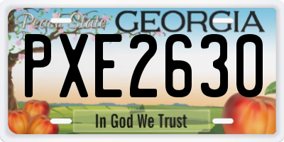 GA license plate PXE2630