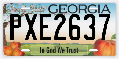 GA license plate PXE2637