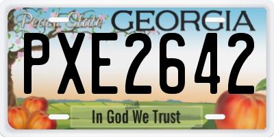 GA license plate PXE2642