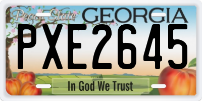 GA license plate PXE2645