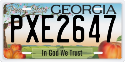 GA license plate PXE2647