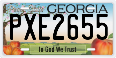 GA license plate PXE2655