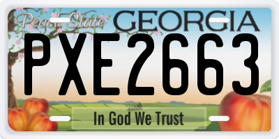 GA license plate PXE2663