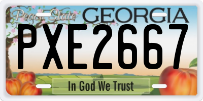 GA license plate PXE2667