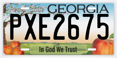 GA license plate PXE2675