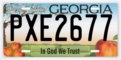 GA license plate PXE2677