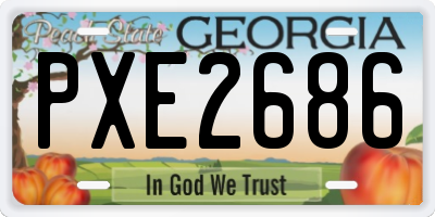 GA license plate PXE2686