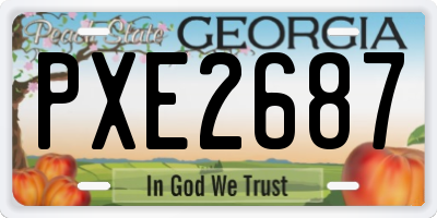 GA license plate PXE2687