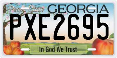 GA license plate PXE2695