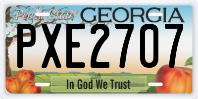 GA license plate PXE2707