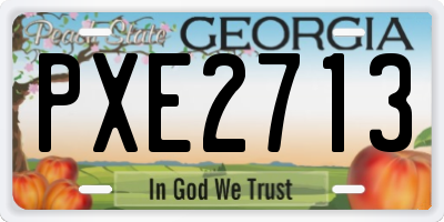 GA license plate PXE2713