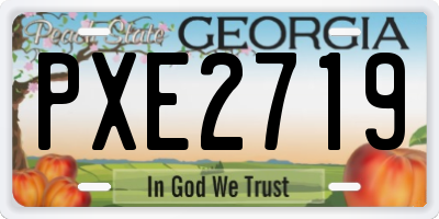 GA license plate PXE2719