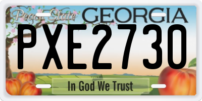 GA license plate PXE2730