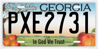 GA license plate PXE2731