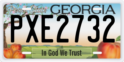 GA license plate PXE2732
