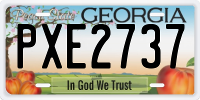 GA license plate PXE2737