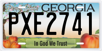 GA license plate PXE2741