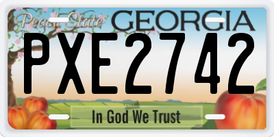 GA license plate PXE2742