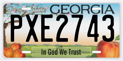 GA license plate PXE2743