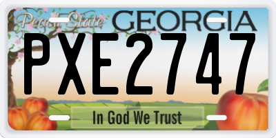 GA license plate PXE2747
