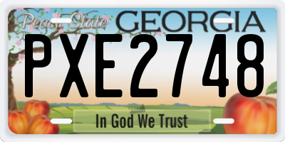 GA license plate PXE2748