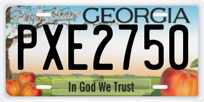 GA license plate PXE2750