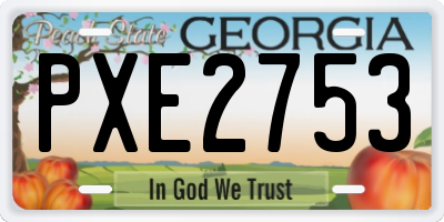 GA license plate PXE2753