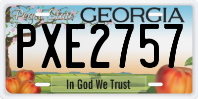GA license plate PXE2757