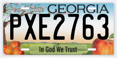GA license plate PXE2763