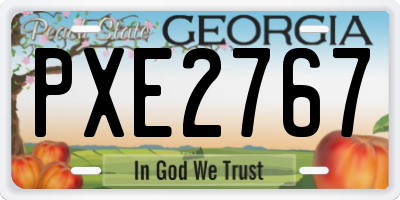 GA license plate PXE2767