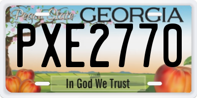 GA license plate PXE2770