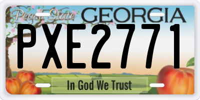 GA license plate PXE2771