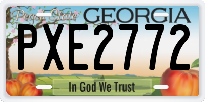 GA license plate PXE2772