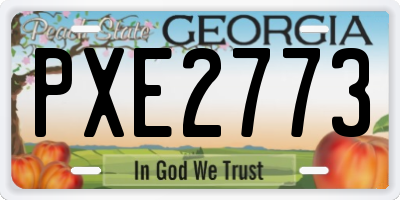 GA license plate PXE2773