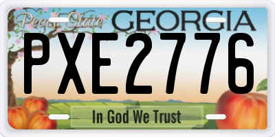 GA license plate PXE2776