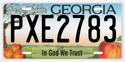 GA license plate PXE2783